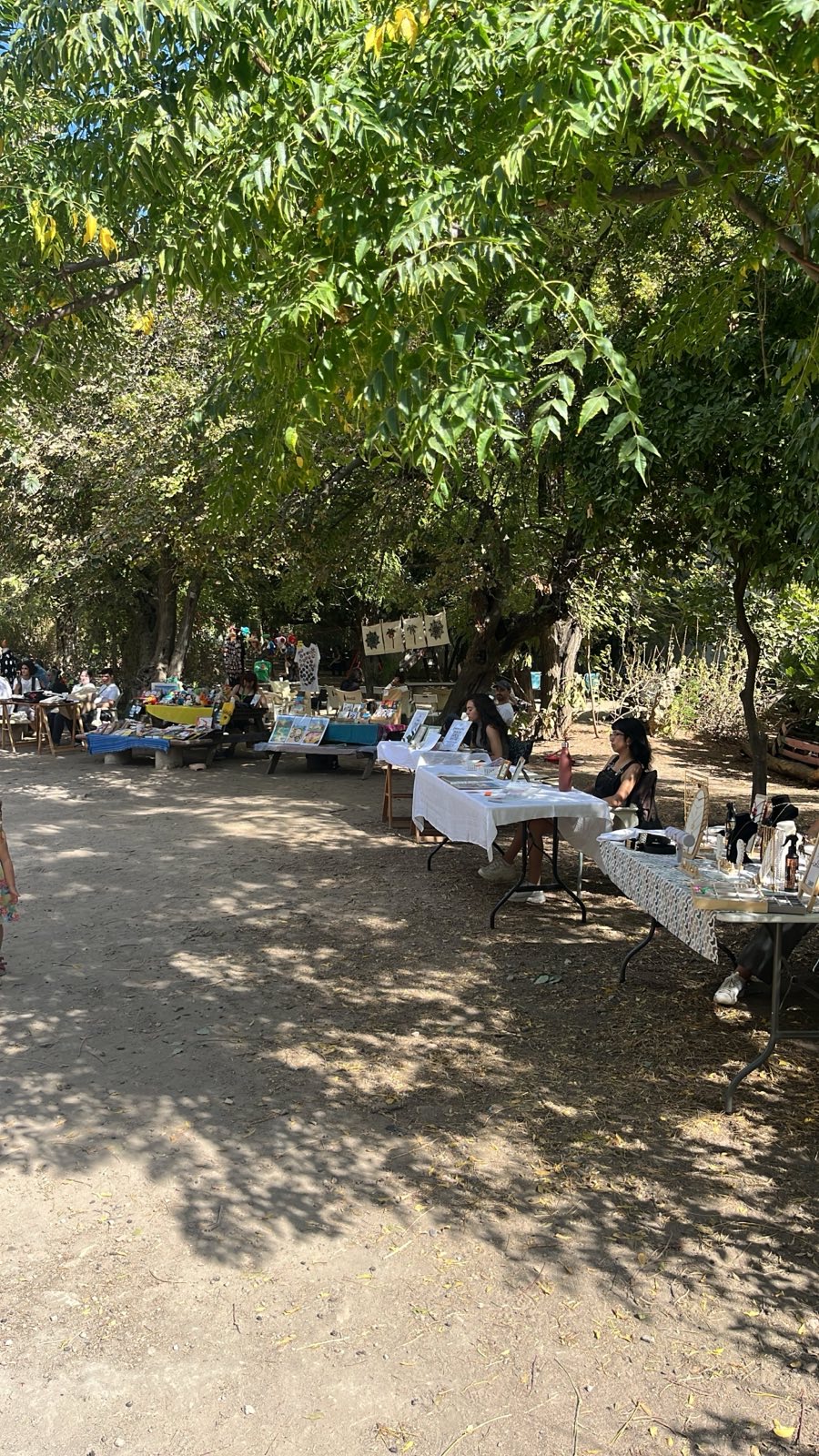 Edición 2024 - 05 de Octubre - Imagen 5