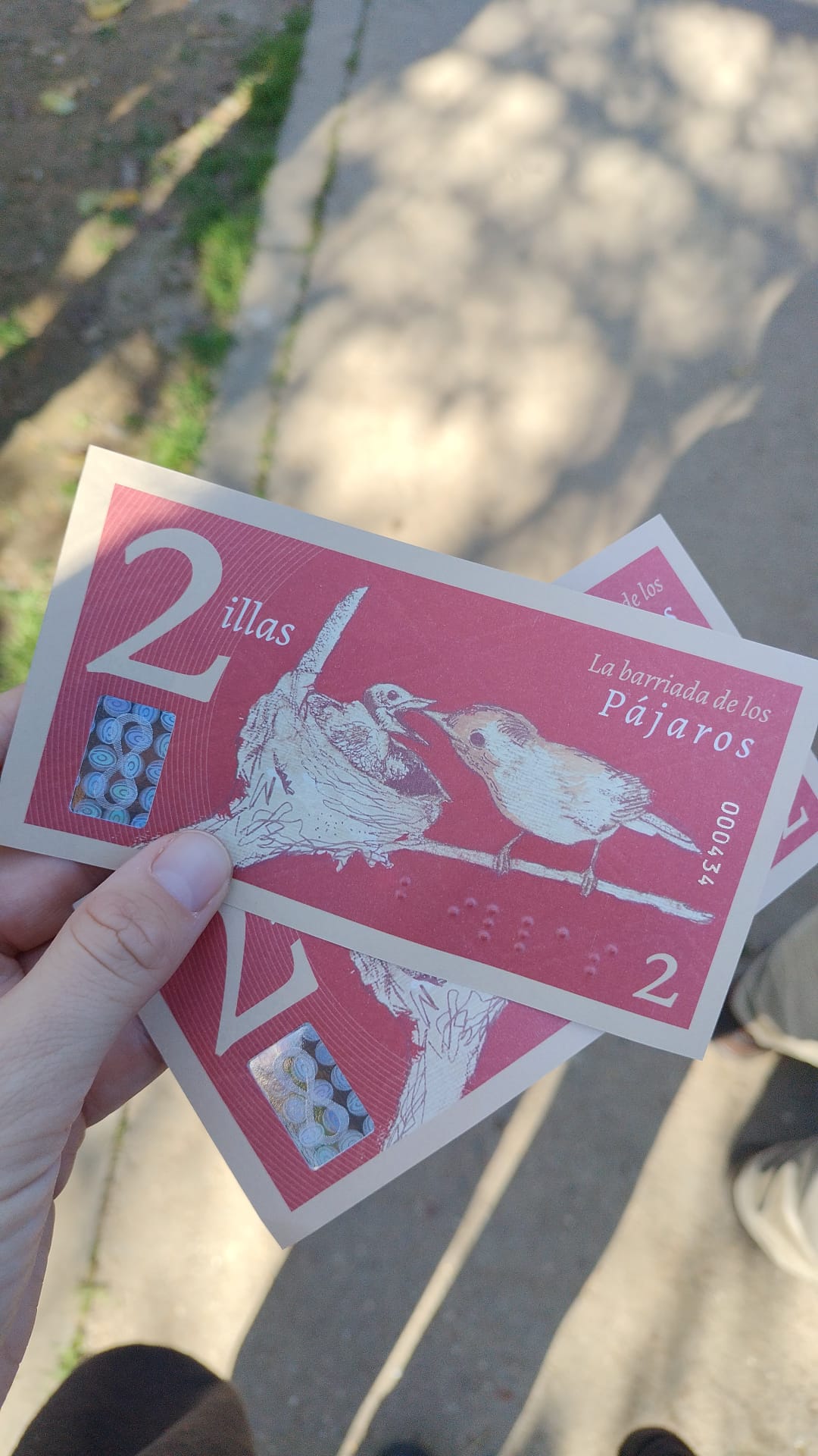 Edición 2024 - 22 de Diciembre - Imagen 1