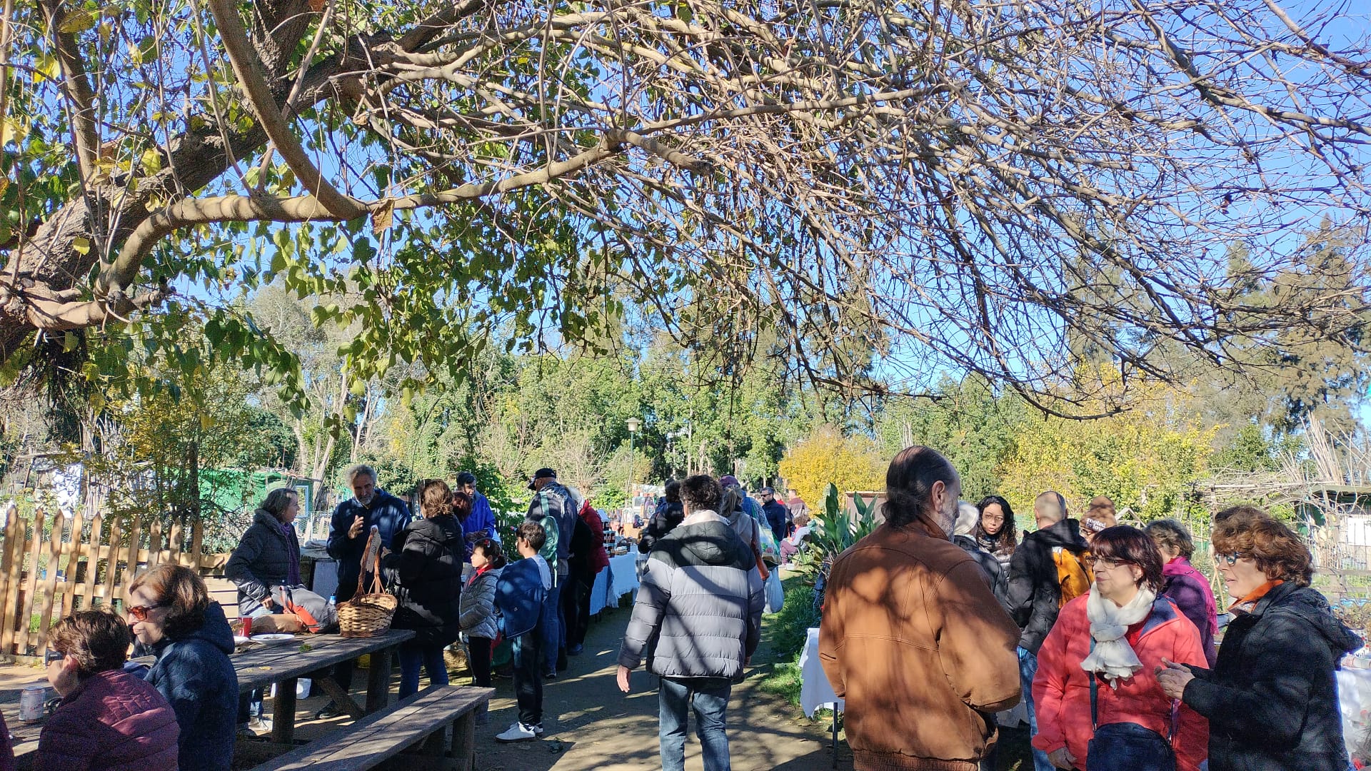 Edición 2024 - 22 de Diciembre - Imagen 2