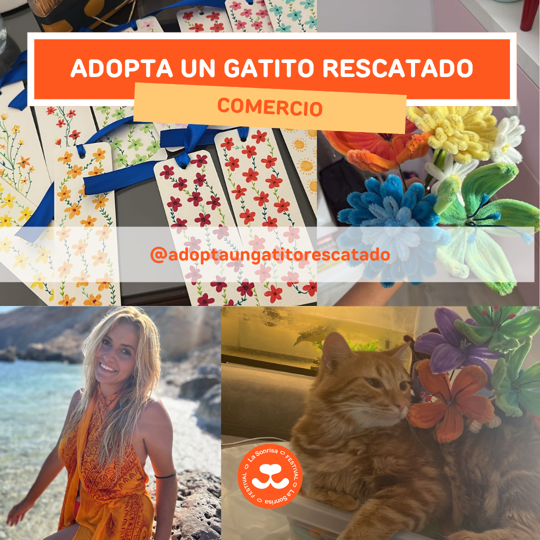 Adopta un Gatito Rescatado 